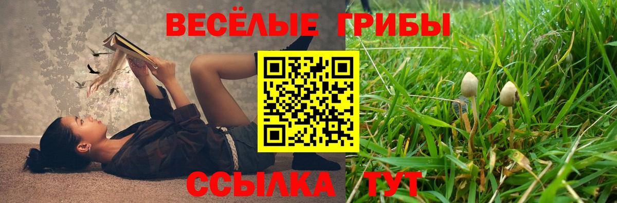 Псилоцибиновые грибы Cubensis  как найти закладки  Псилоцибиновые грибы Psilocybe  Алушта  Вход с VPN 