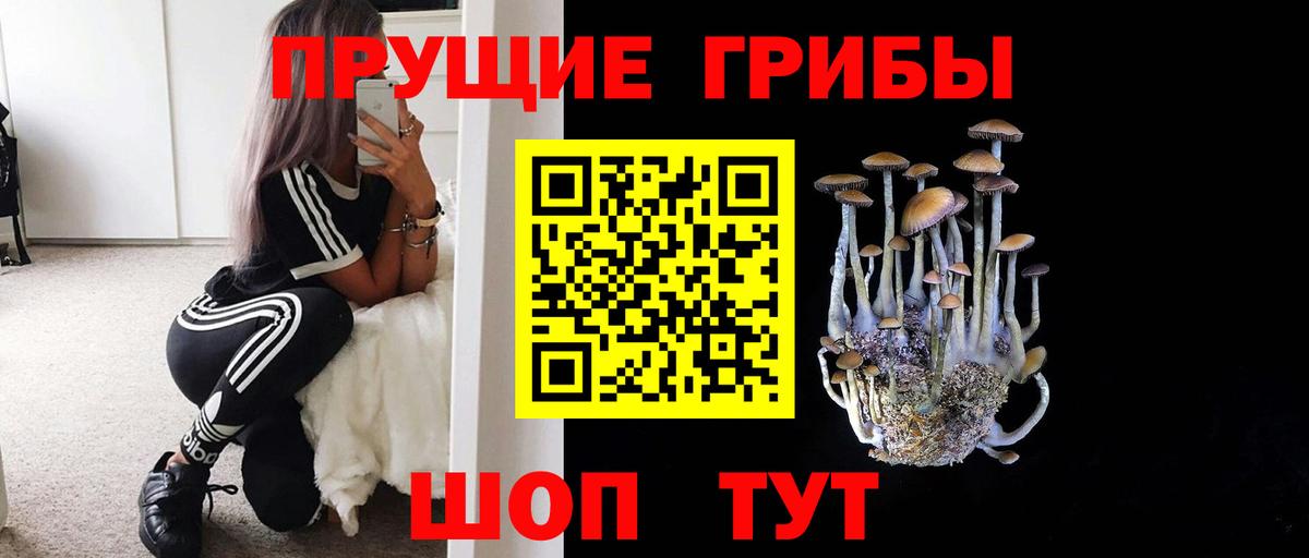 Псилоцибиновые грибы Psilocybine cubensis Алушта